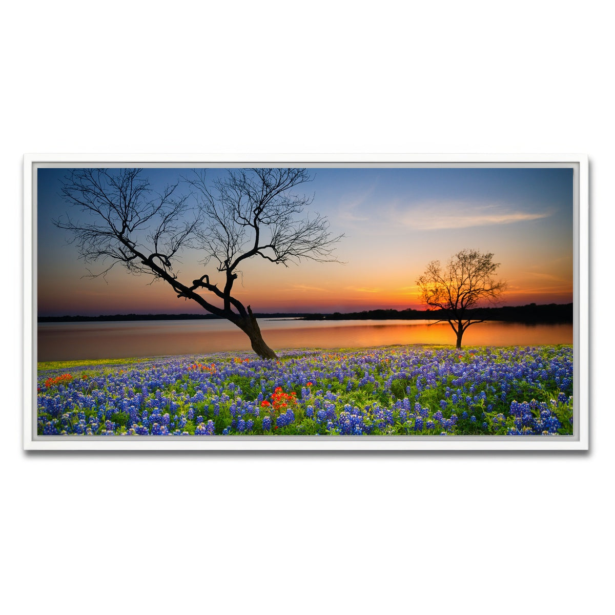 AUTO-MOCKUP WHITE | Blooming bluebonnet wildflower field | 1 Piece | White Framed Canvas | group=2x1