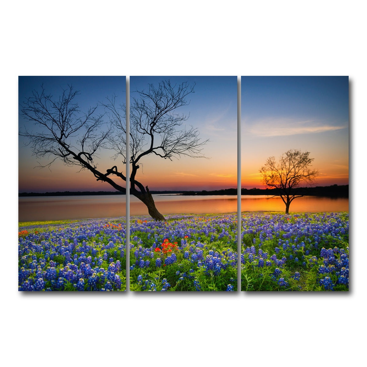 AUTO-MOCKUP WHITE | Blooming bluebonnet wildflower field | 3 Piece | Gallery Wrap Canvas | group=12x24