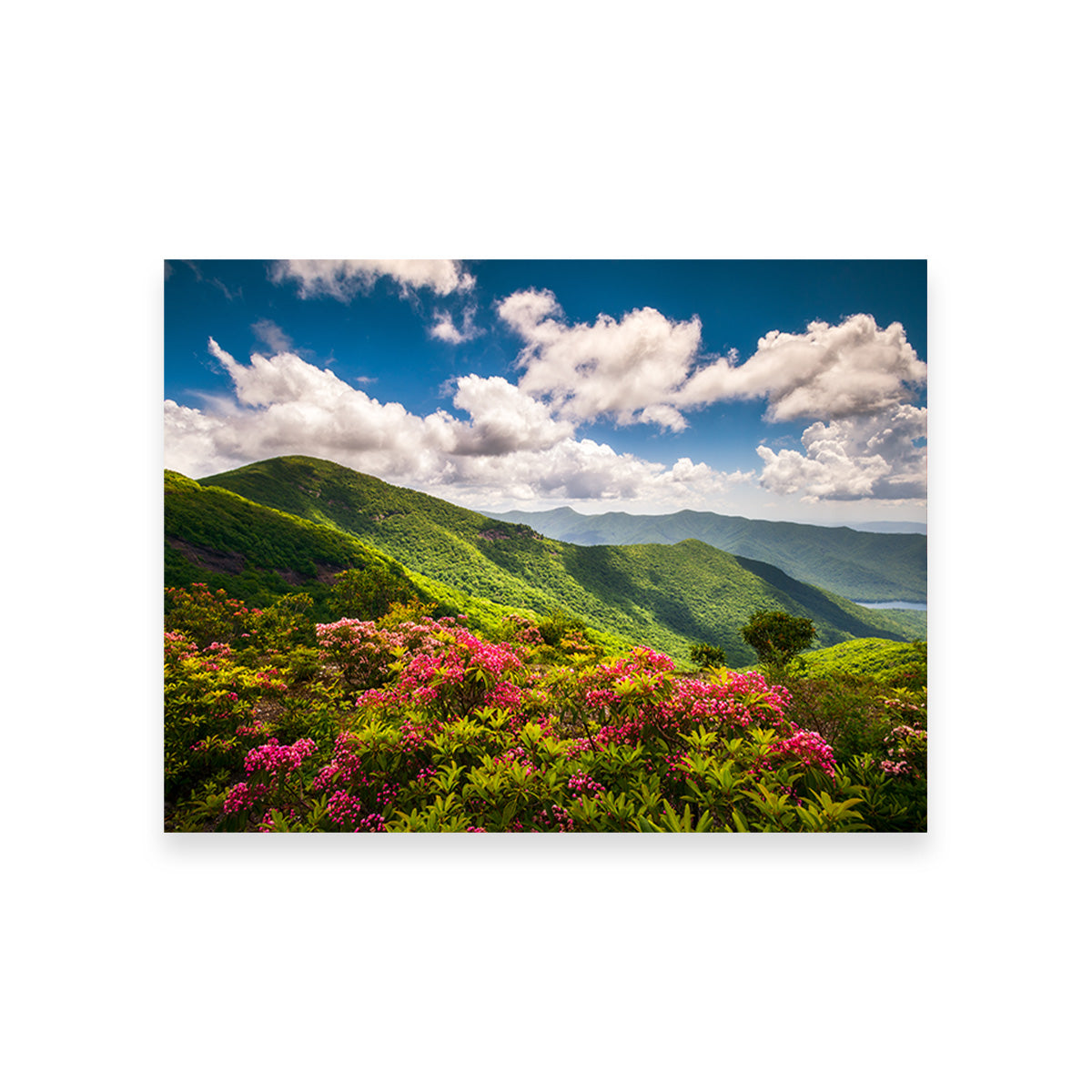 Blue Ridge Parkway Wall Art