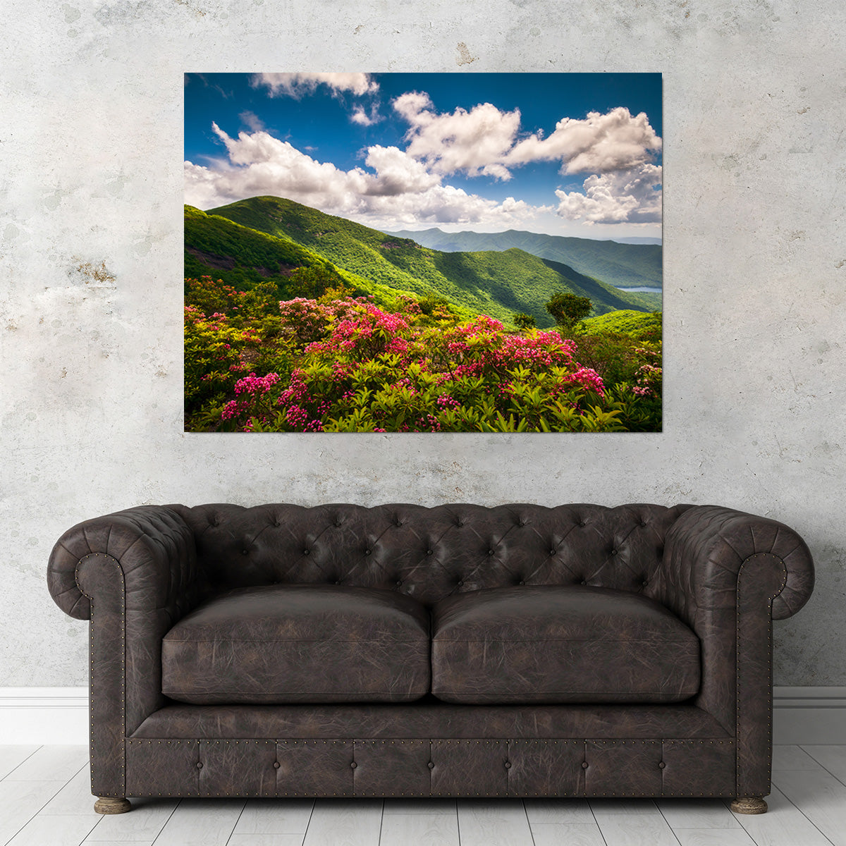 Blue Ridge Parkway Wall Art