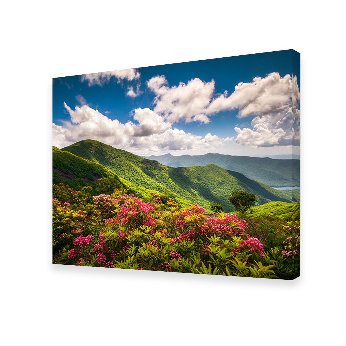 Blue Ridge Parkway Wall Art