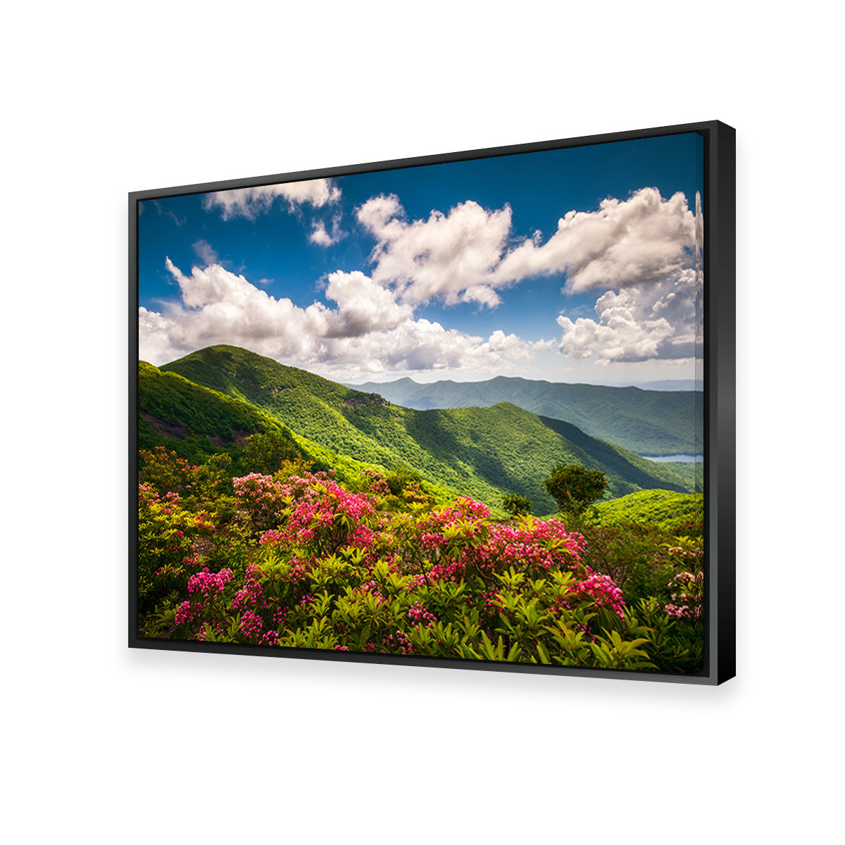 Blue Ridge Parkway Wall Art