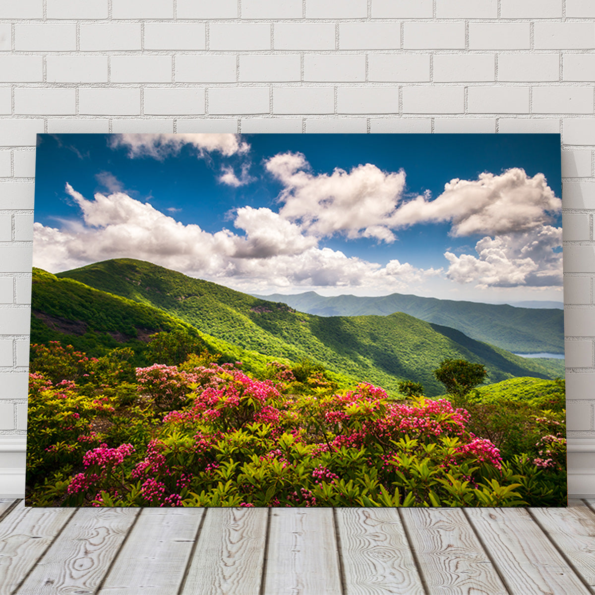 Blue Ridge Parkway Wall Art