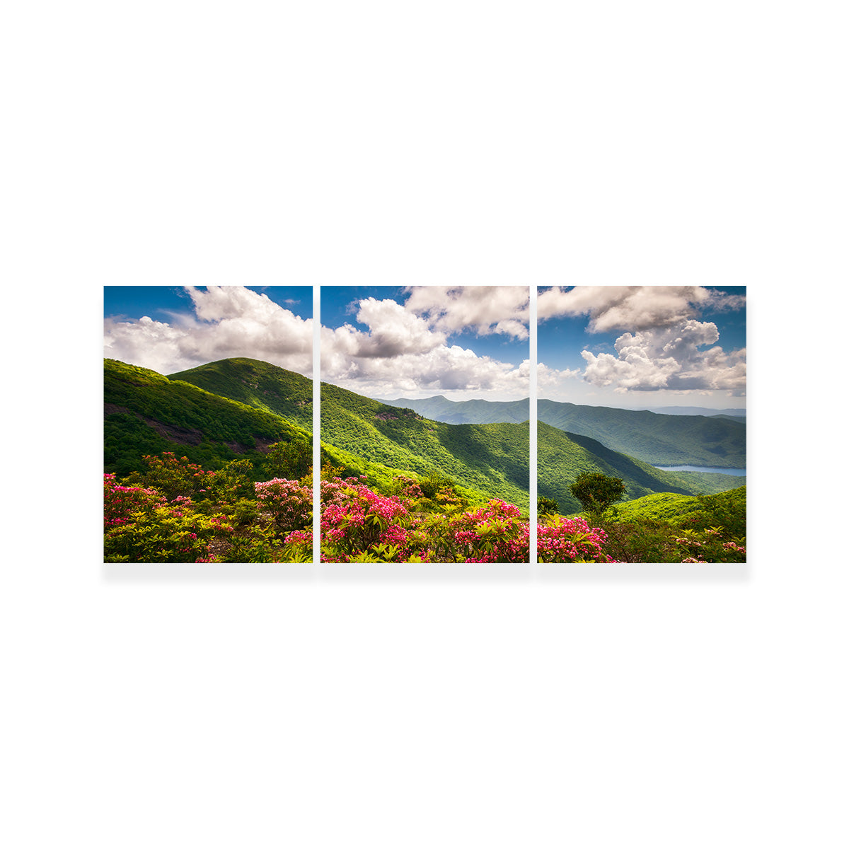 Blue Ridge Parkway Wall Art