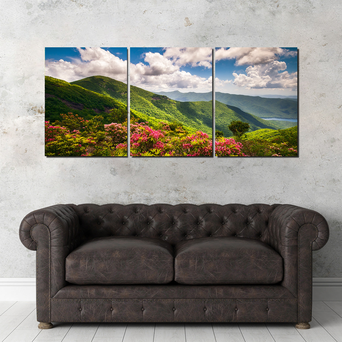 Blue Ridge Parkway Wall Art