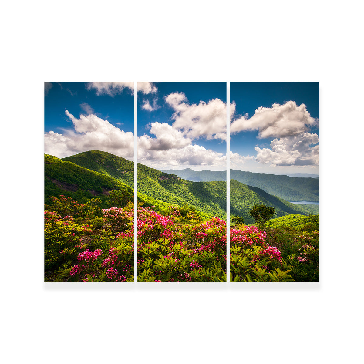 Blue Ridge Parkway Wall Art