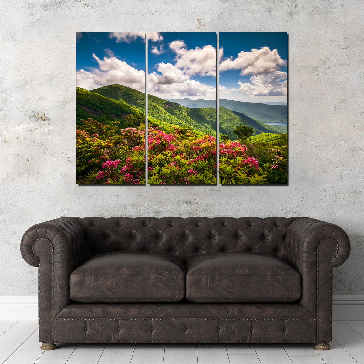 Blue Ridge Parkway Wall Art