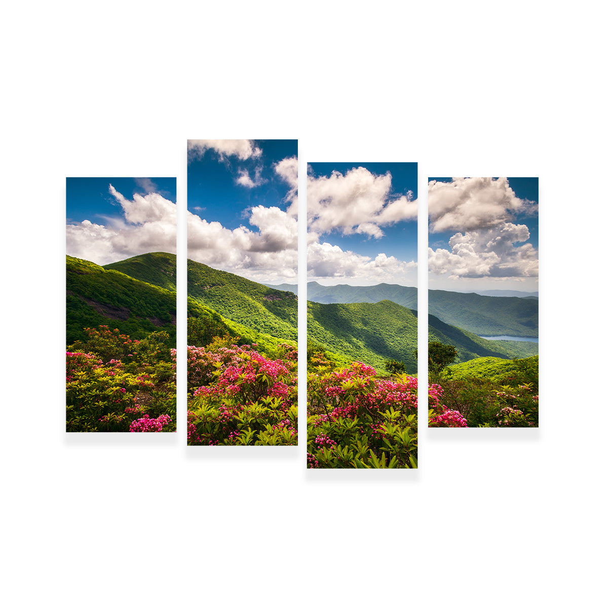 Blue Ridge Parkway Wall Art