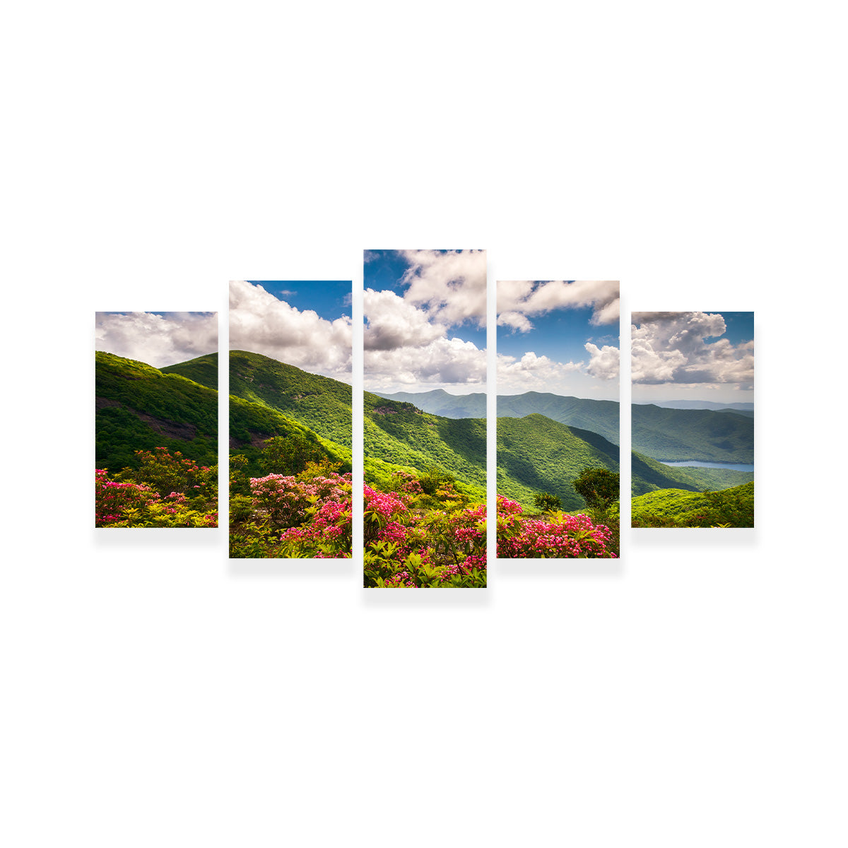 Blue Ridge Parkway Wall Art