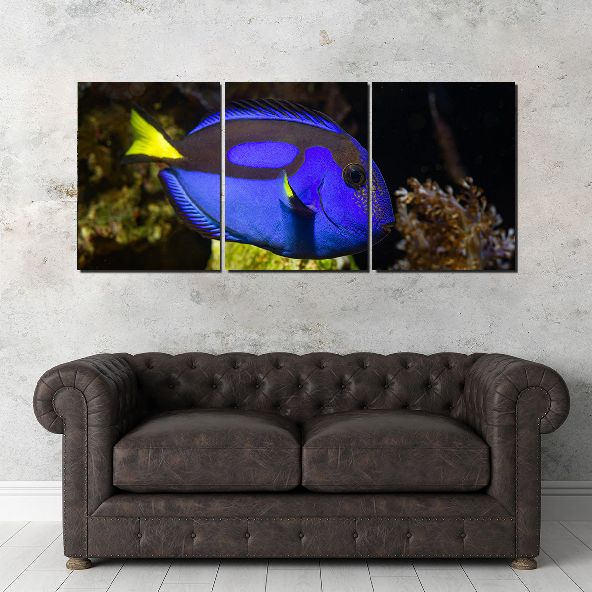 Blue Tang Wall Art