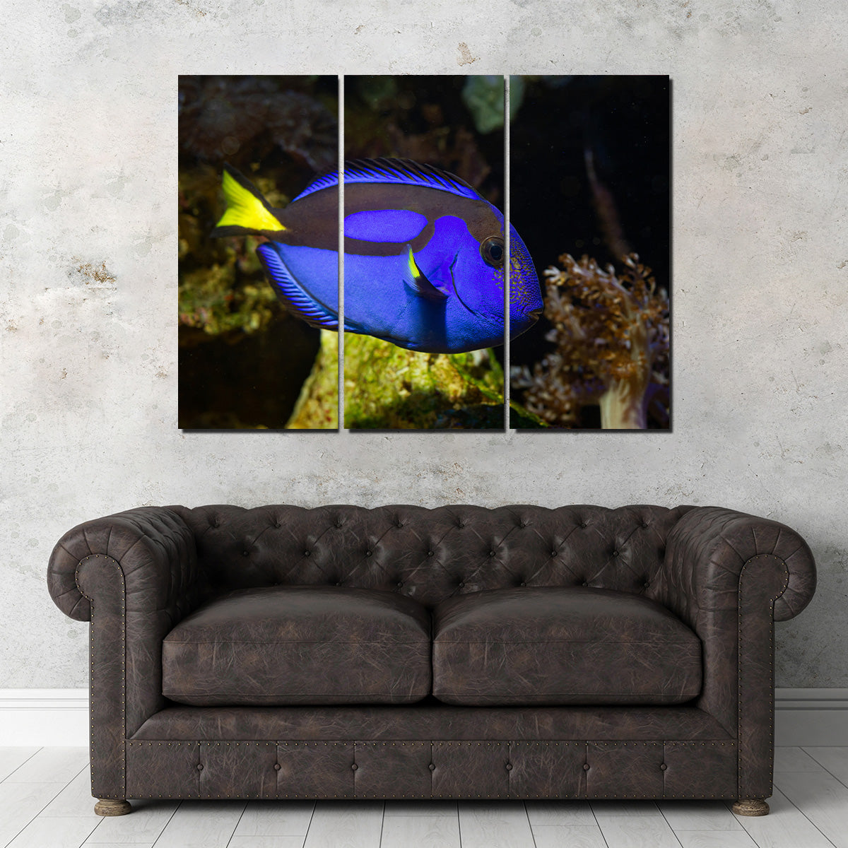 Blue Tang Wall Art