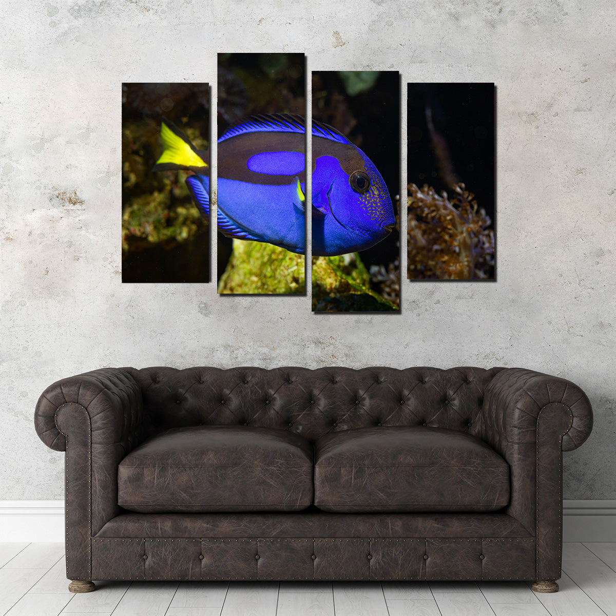 Blue Tang Wall Art