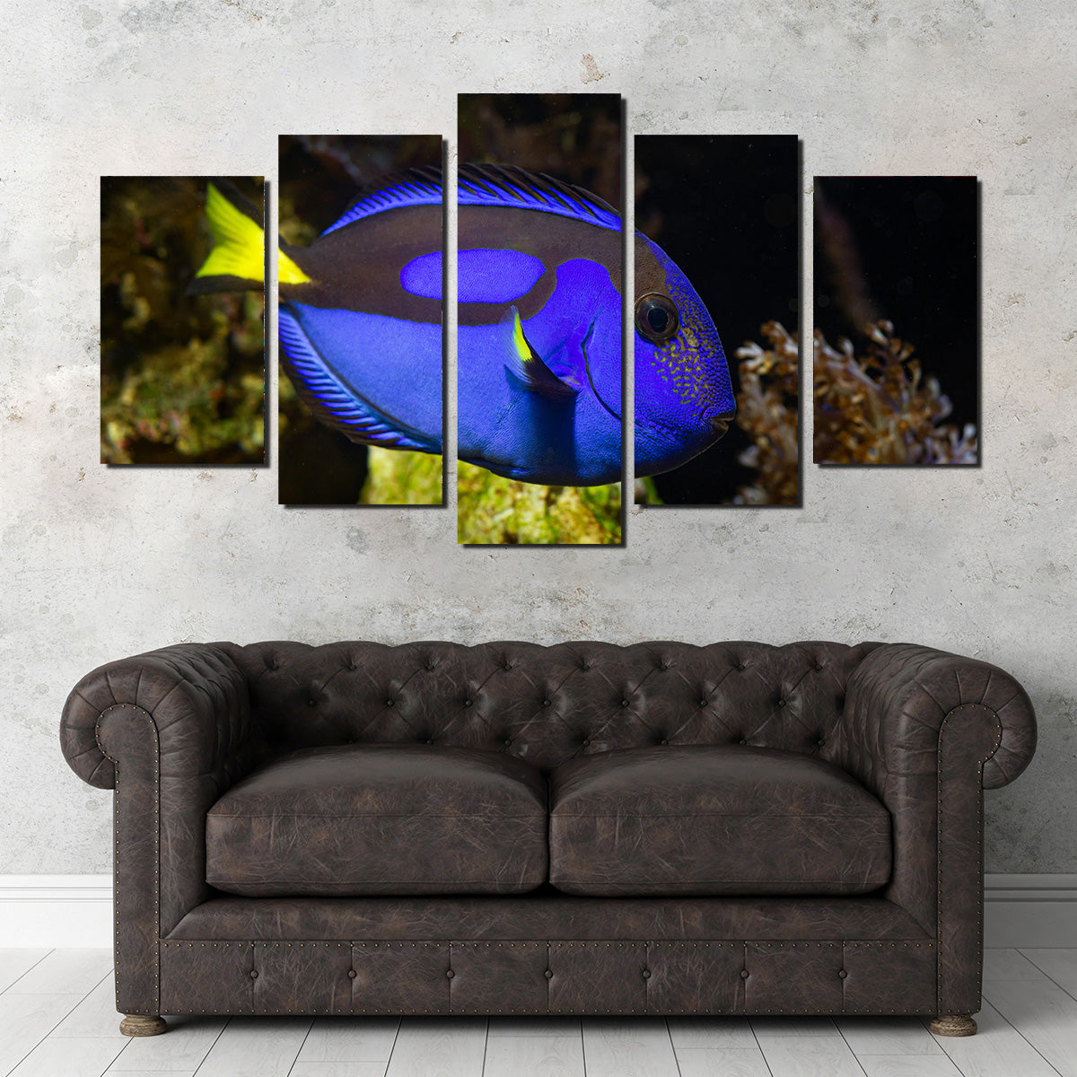 Blue Tang Wall Art