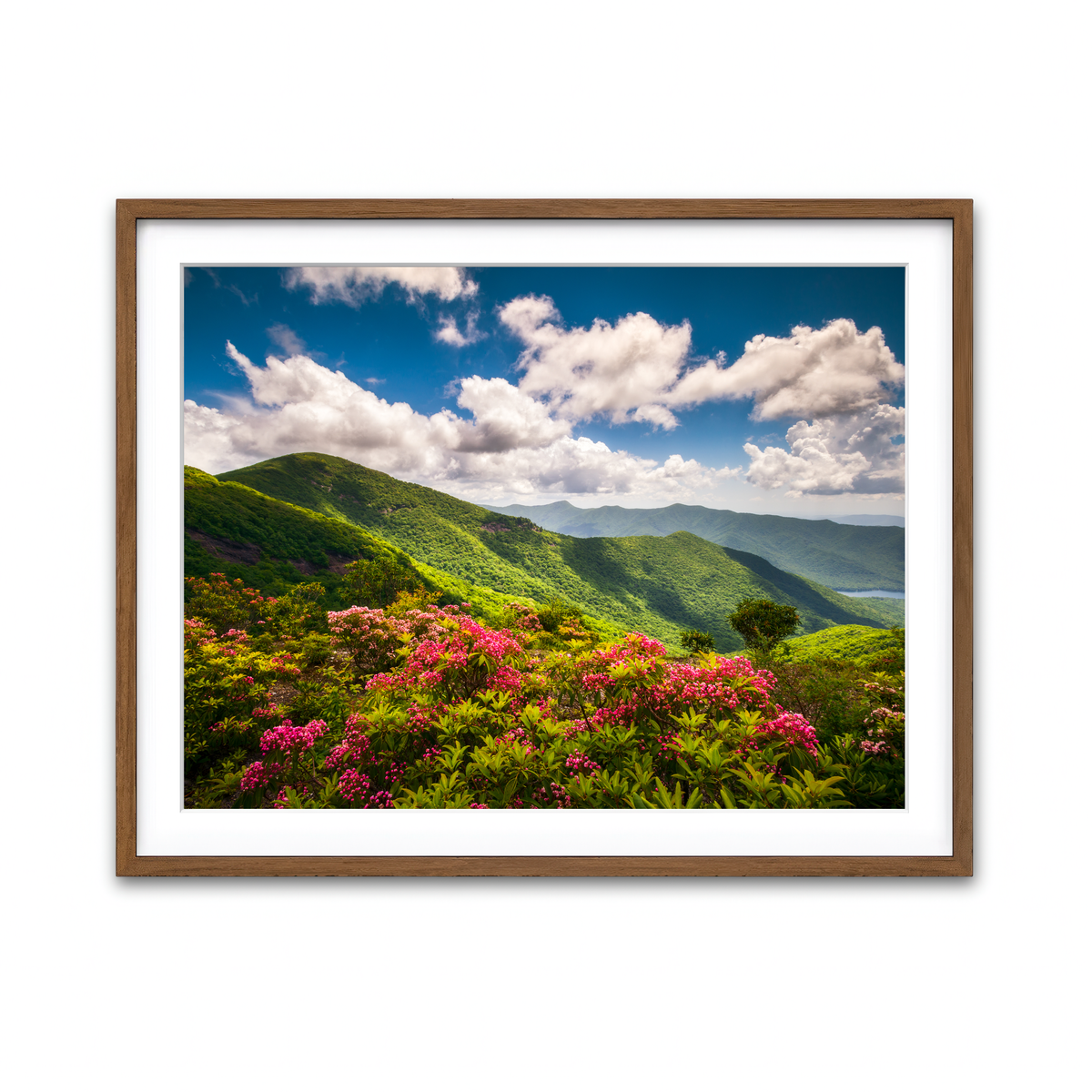 Framed Print 4x3 Walnut