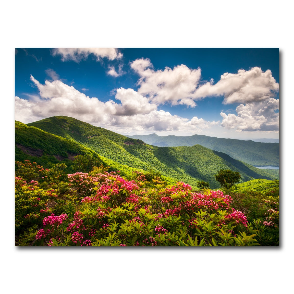 AUTO-MOCKUP WHITE | Blue Ridge Parkway | 1 Piece | Gallery Wrap Canvas | group=4x3