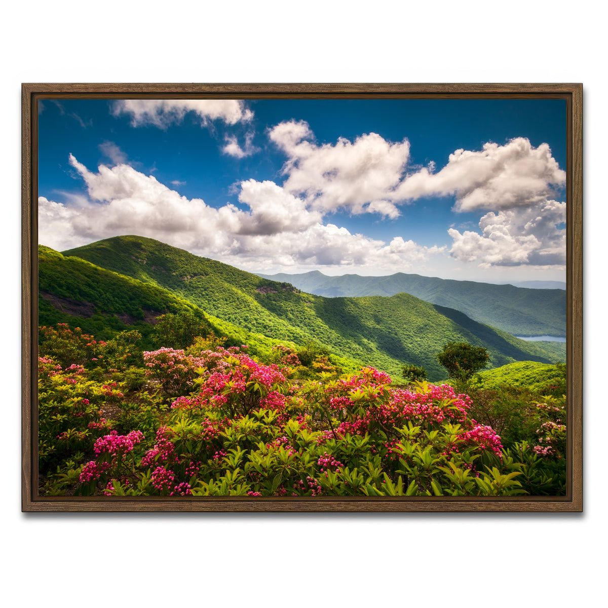 AUTO-MOCKUP WHITE | Blue Ridge Parkway | 1 Piece | Walnut Framed Canvas | group=4x3