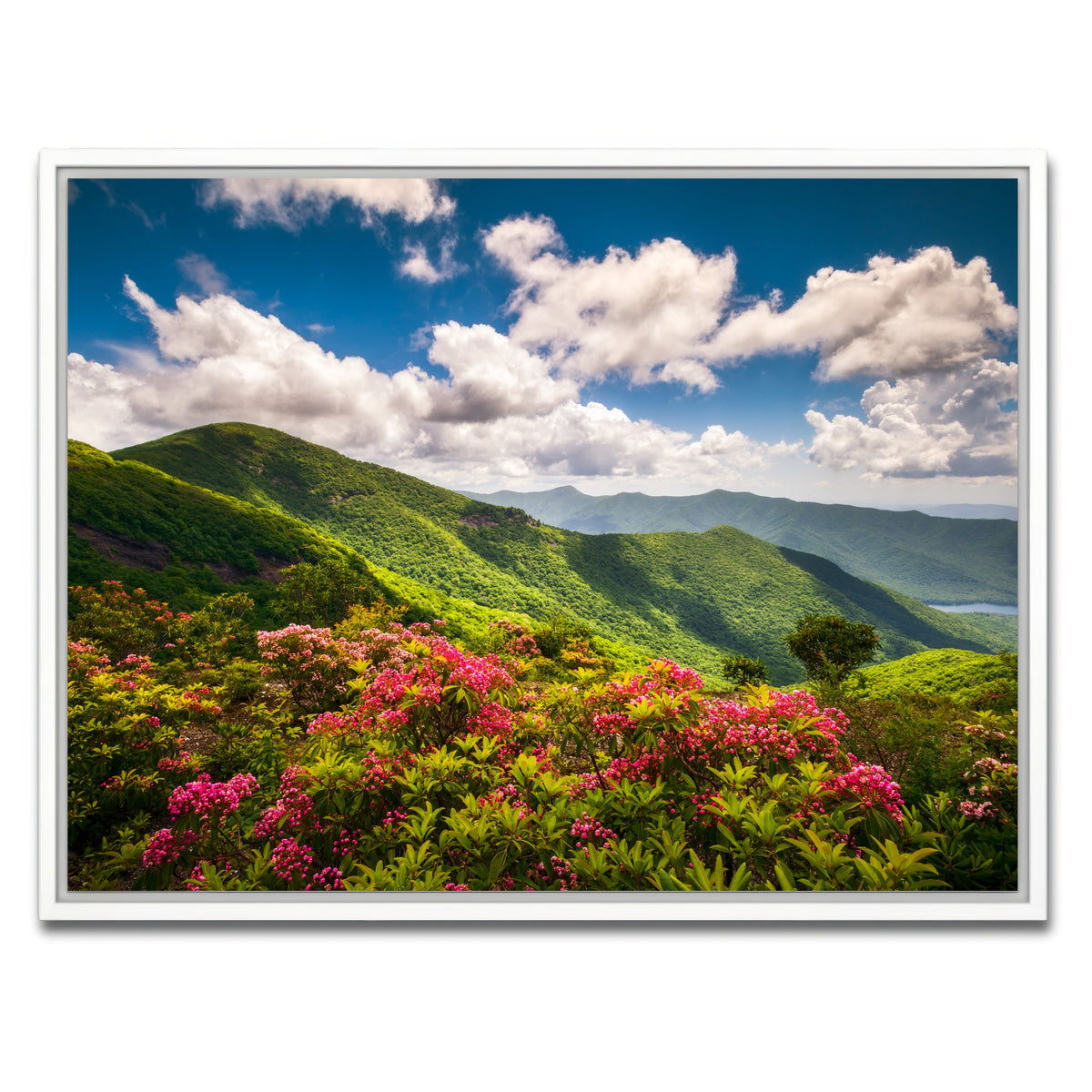 AUTO-MOCKUP WHITE | Blue Ridge Parkway | 1 Piece | White Framed Canvas | group=4x3