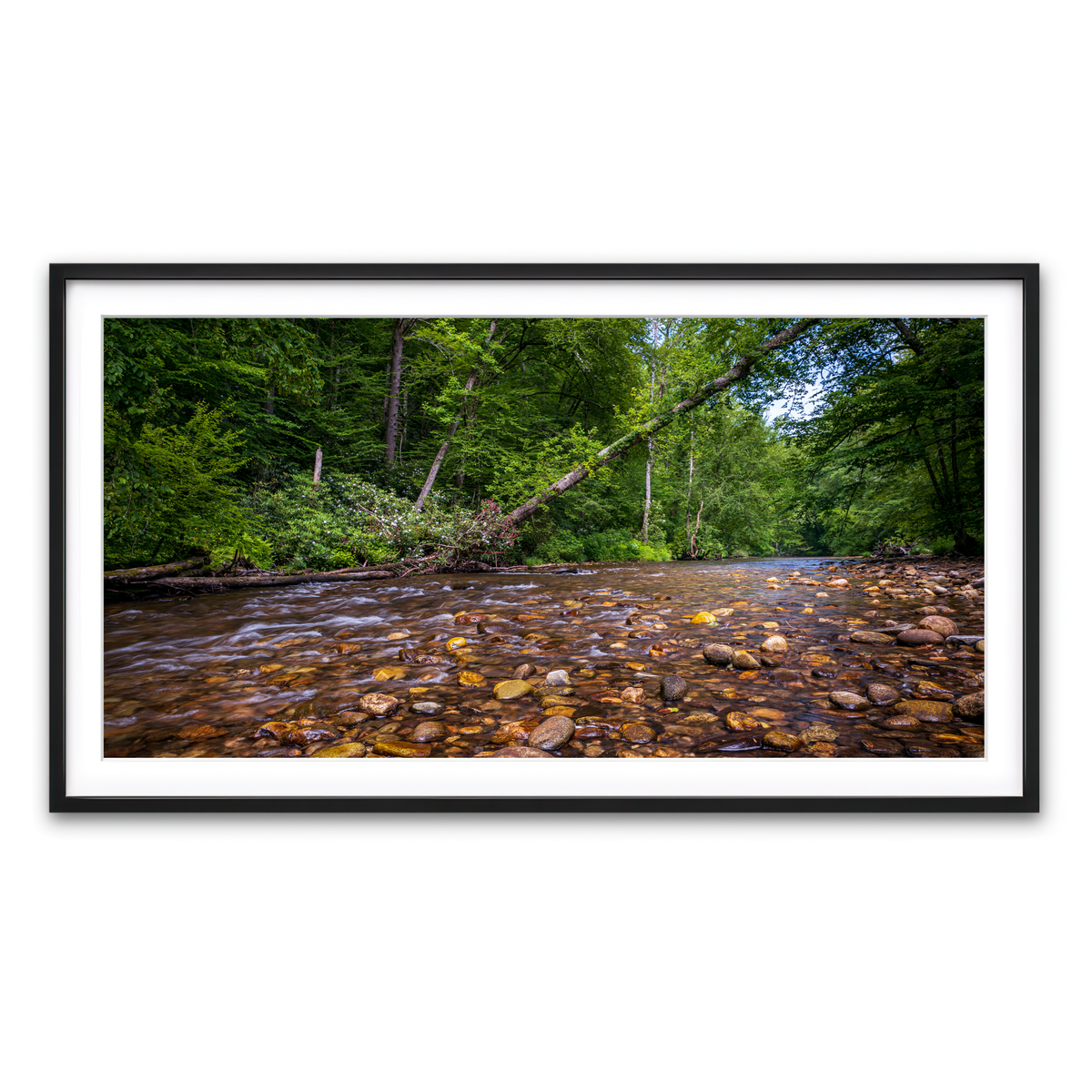 Framed Print 2x1 Black