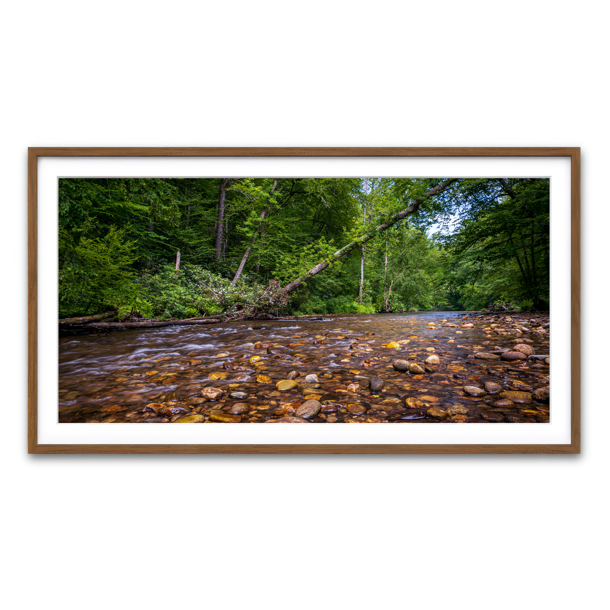 Framed Print 2x1 Walnut
