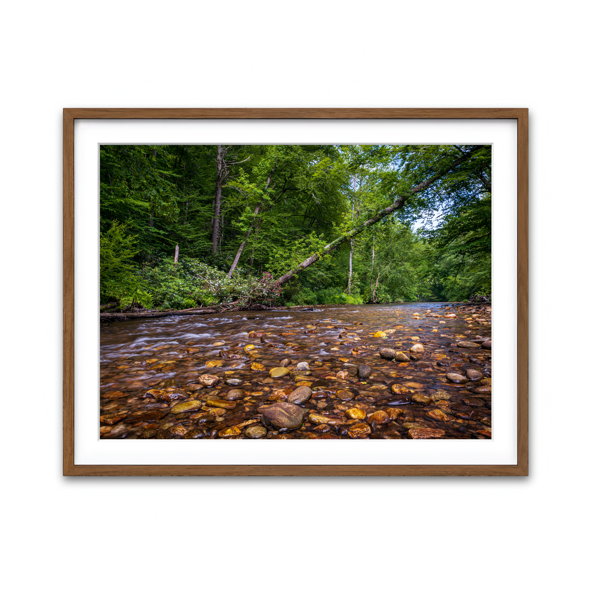 Framed Print 4x3 Walnut