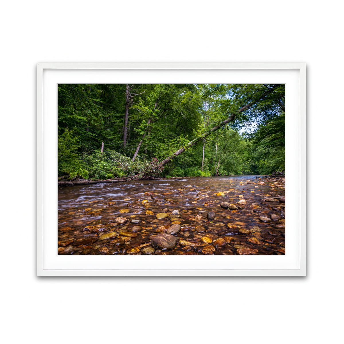 Framed Print 4x3 White