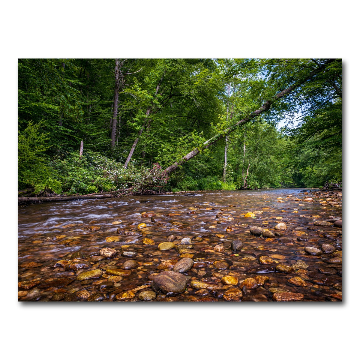 AUTO-MOCKUP WHITE | Blue Ridge Pky NC | 1 Piece | Gallery Wrap Canvas | group=4x3