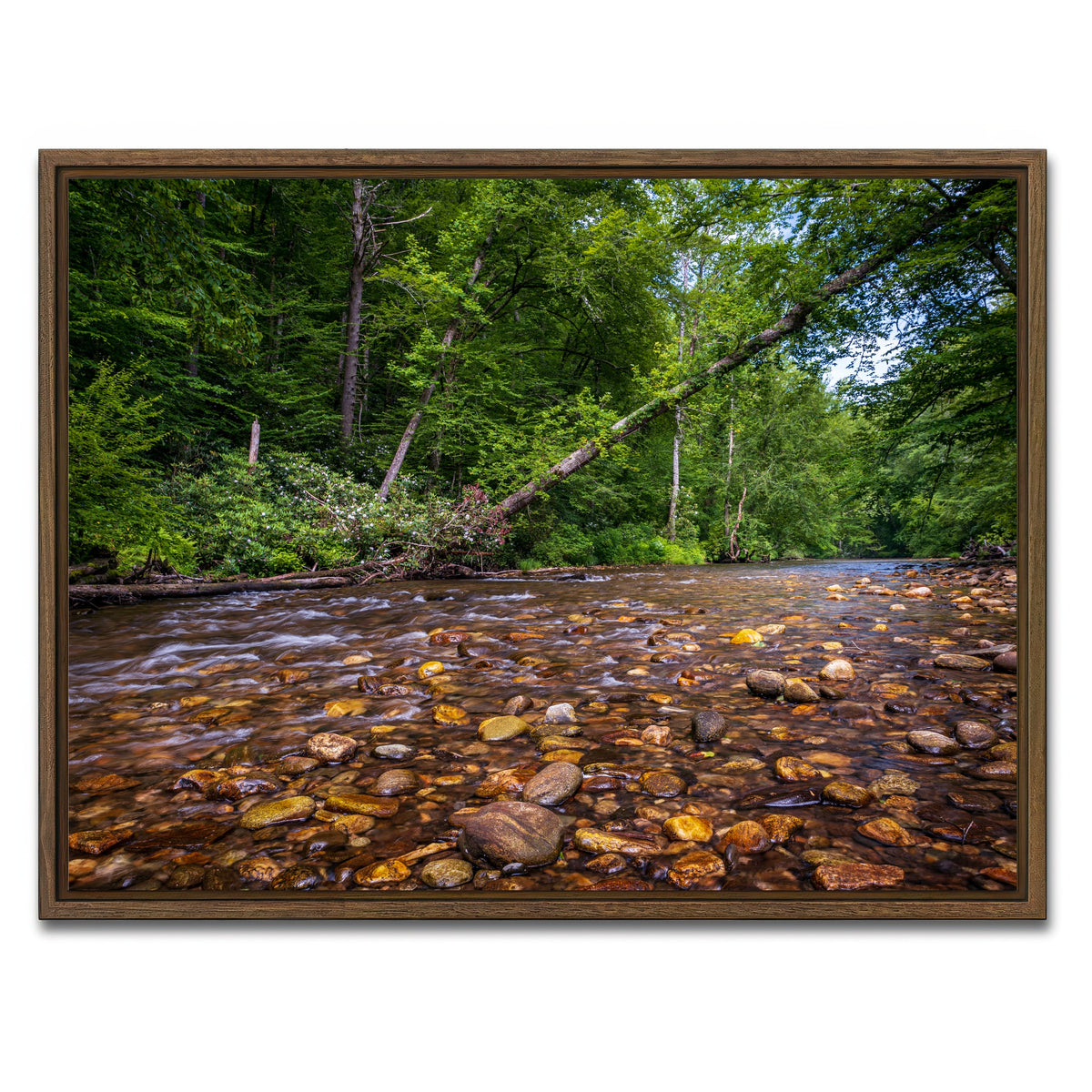 AUTO-MOCKUP WHITE | Blue Ridge Pky NC | 1 Piece | Walnut Framed Canvas | group=4x3