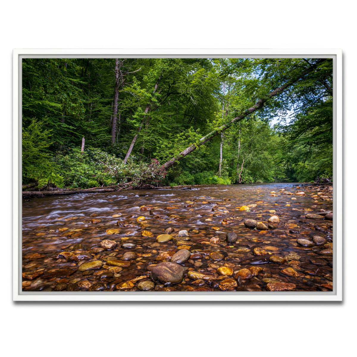 AUTO-MOCKUP WHITE | Blue Ridge Pky NC | 1 Piece | White Framed Canvas | group=4x3