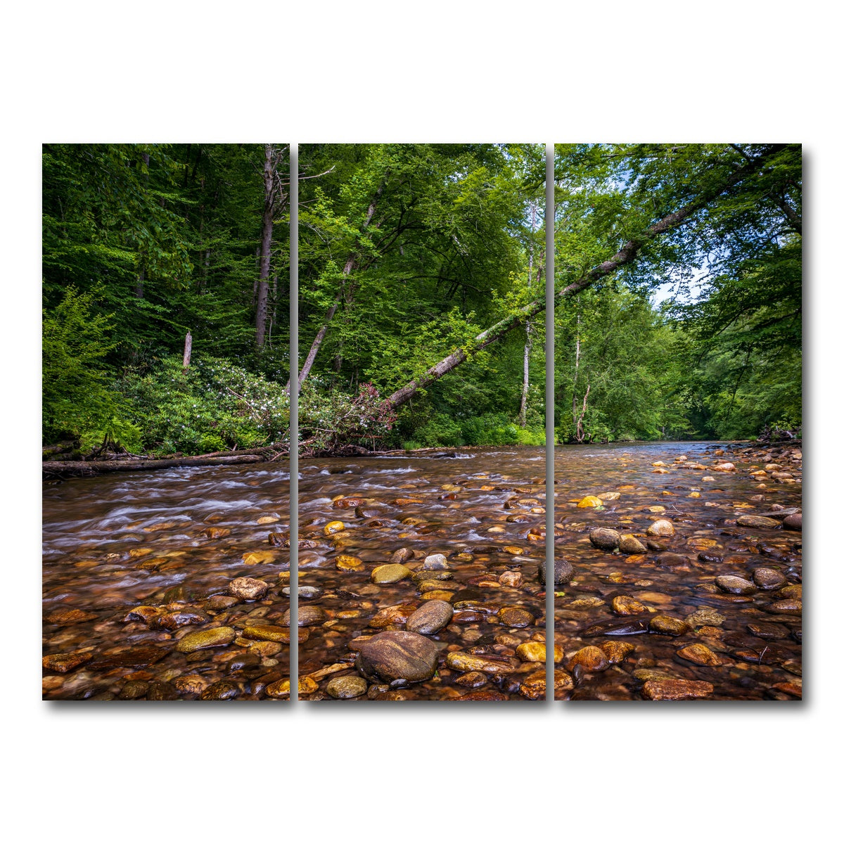 AUTO-MOCKUP WHITE | Blue Ridge Pky NC | 3 Piece | Gallery Wrap Canvas | group=8x18