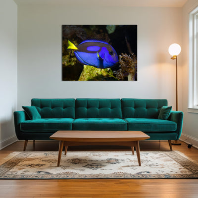 AUTO-MOCKUP ROOM | Blue Tang