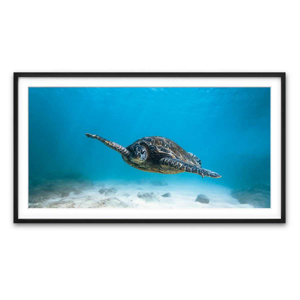 Framed Print 2x1 Black