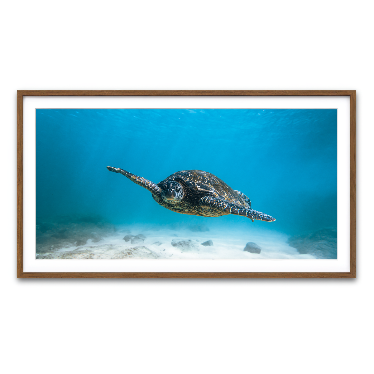 Framed Print 2x1 Walnut