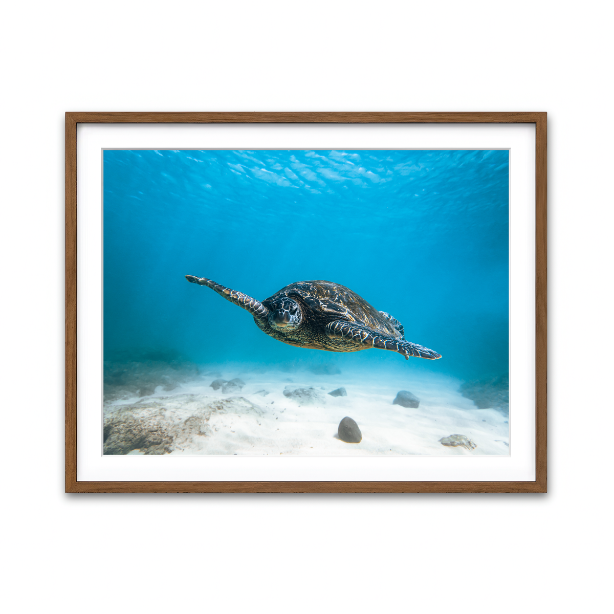 Framed Print 4x3 Walnut