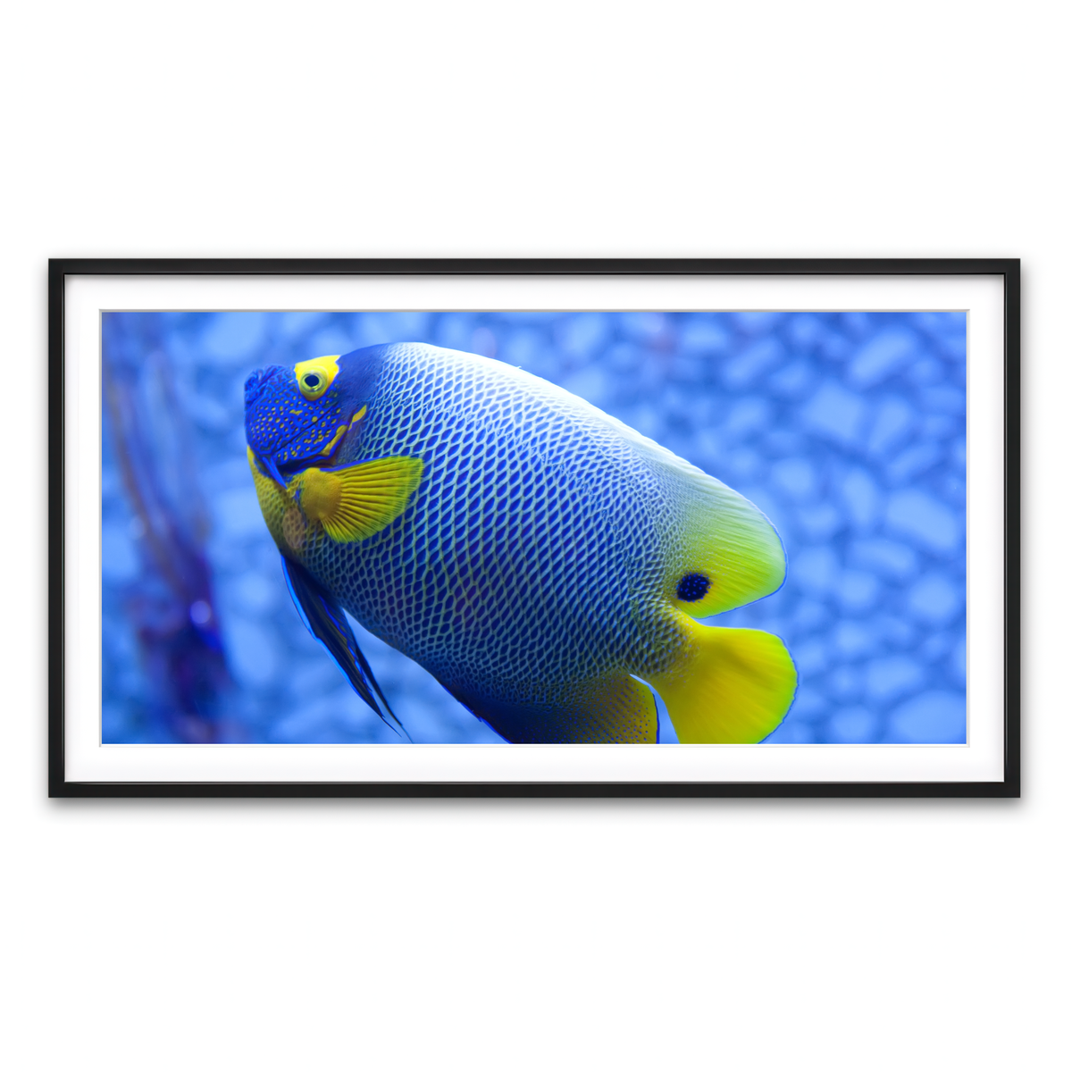 Framed Print 2x1 Black