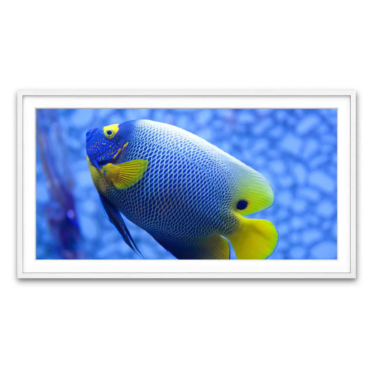 Framed Print 2x1 White