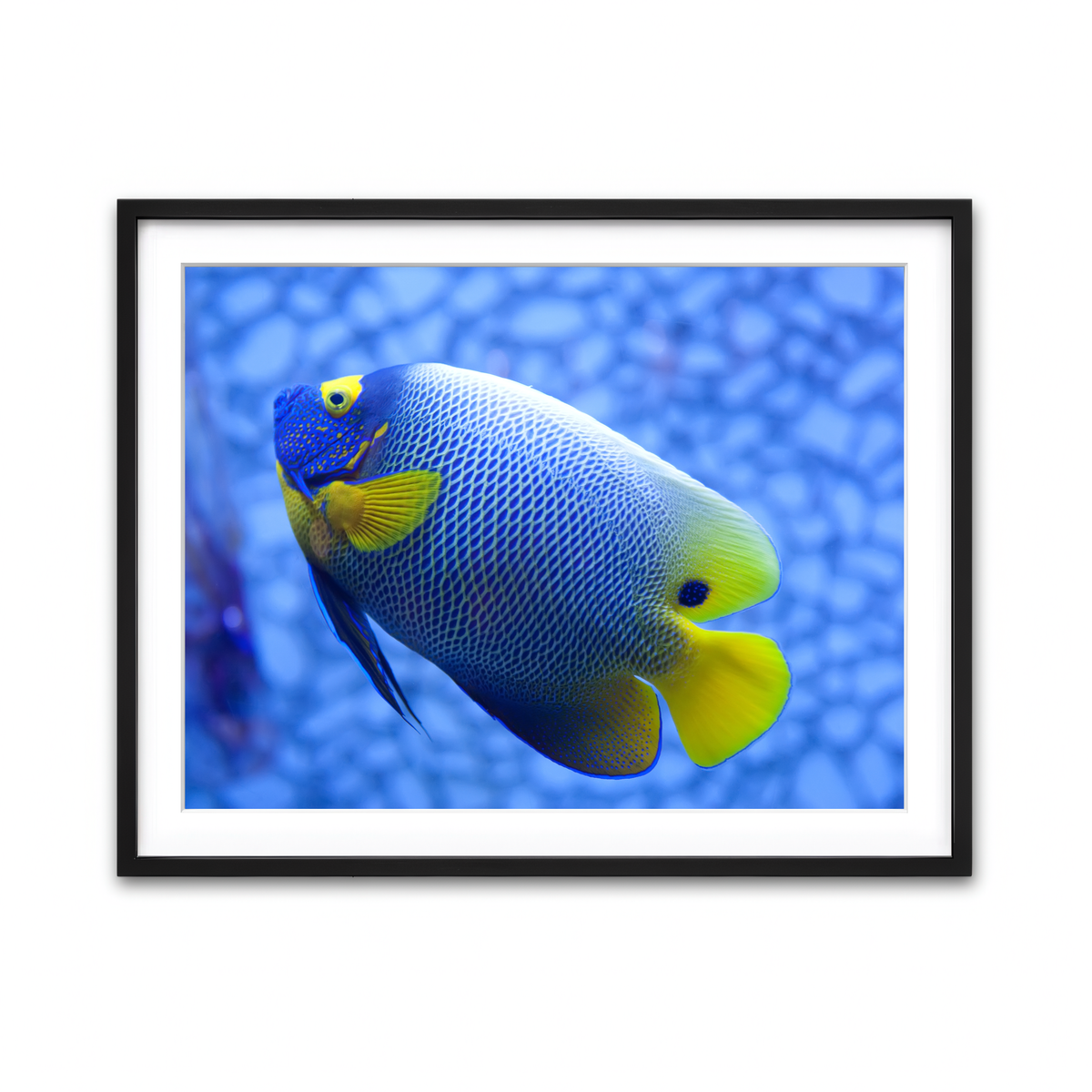 Framed Print 4x3 Black