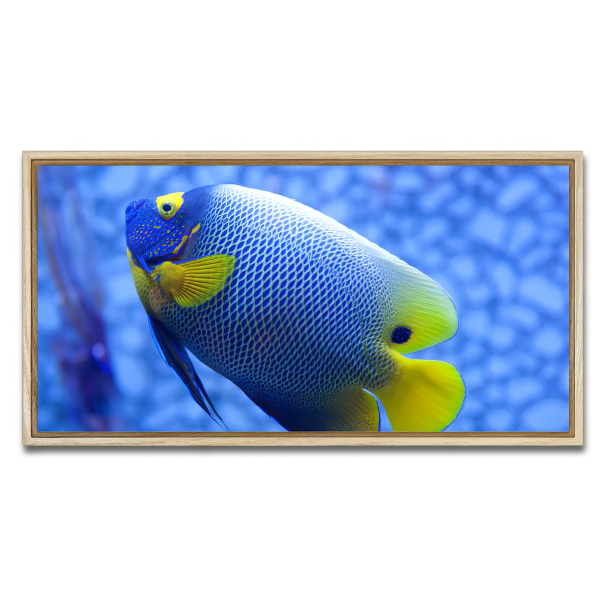 AUTO-MOCKUP WHITE | Blue and yellow tropical fish | 1 Piece | Natural Framed Canvas | group=2x1