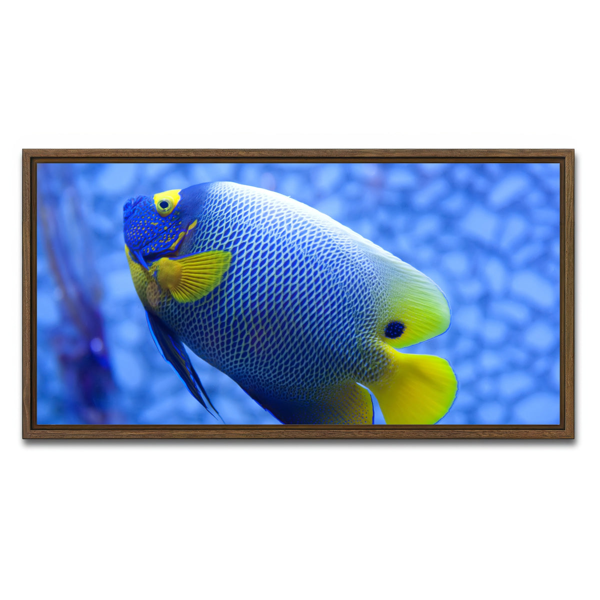 AUTO-MOCKUP WHITE | Blue and yellow tropical fish | 1 Piece | Walnut Framed Canvas | group=2x1