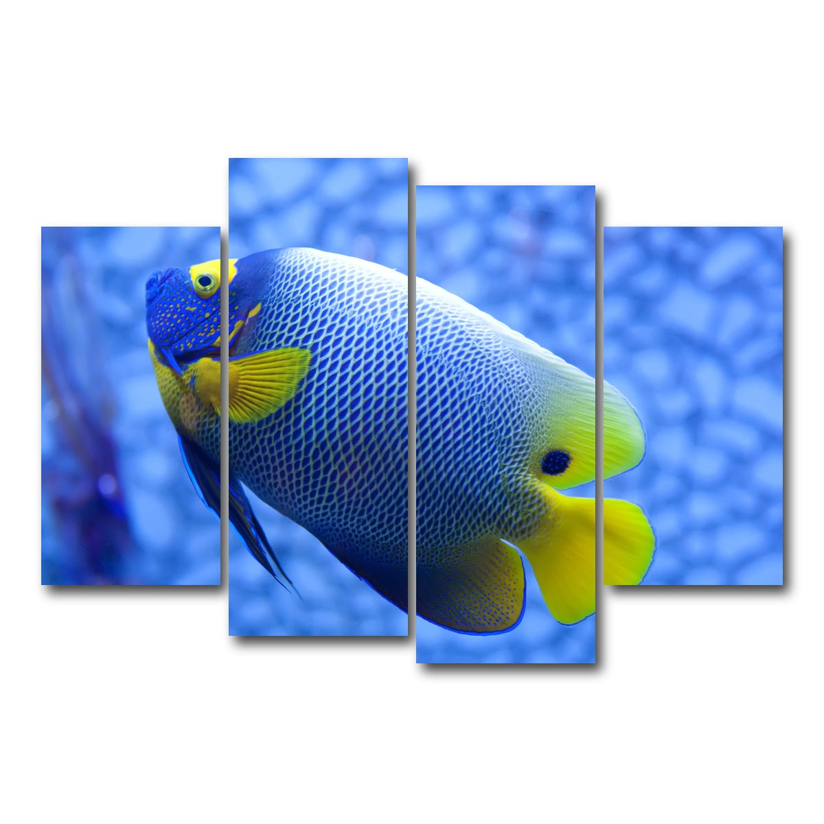 AUTO-MOCKUP WHITE | Blue and yellow tropical fish | 4 Piece | Gallery Wrap Canvas | group=4_short
