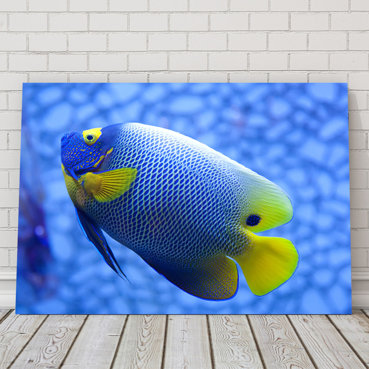 Blue and Yellow Tropical Fish Wall Art