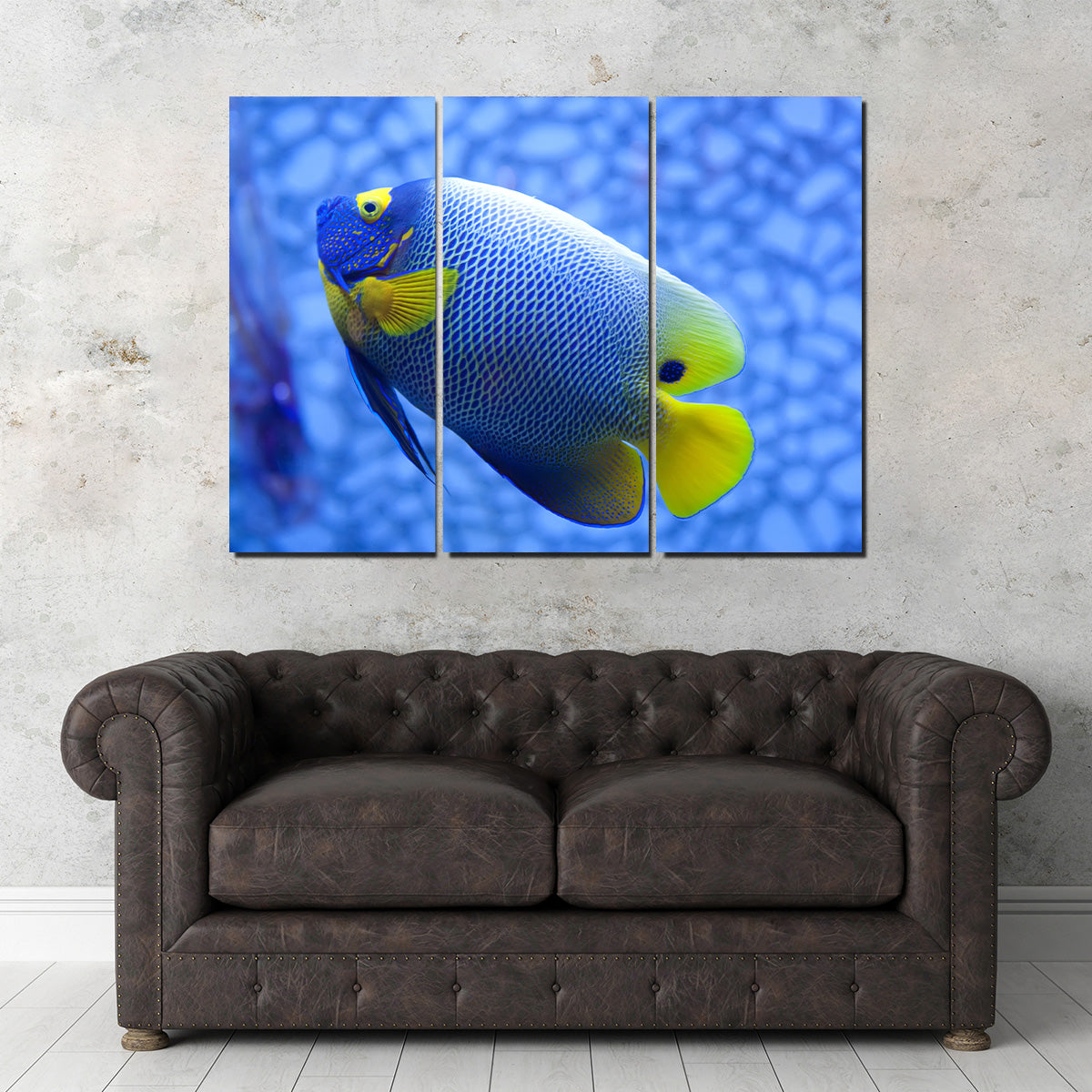 Blue and Yellow Tropical Fish Wall Art