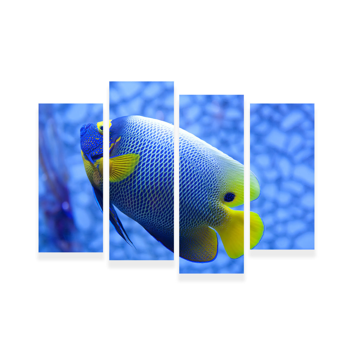 Blue and Yellow Tropical Fish Wall Art