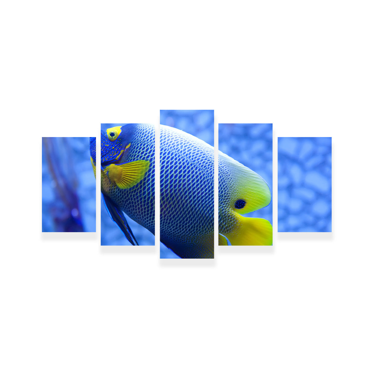 Blue and Yellow Tropical Fish Wall Art