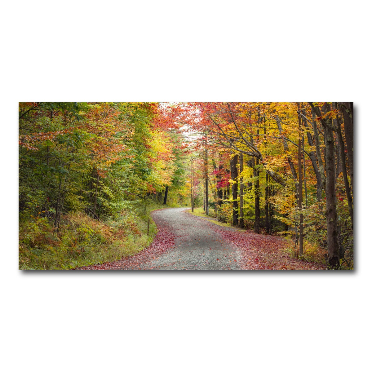 AUTO-MOCKUP WHITE | Blueberry Lane | 1 Piece | Gallery Wrap Canvas | group=2x1