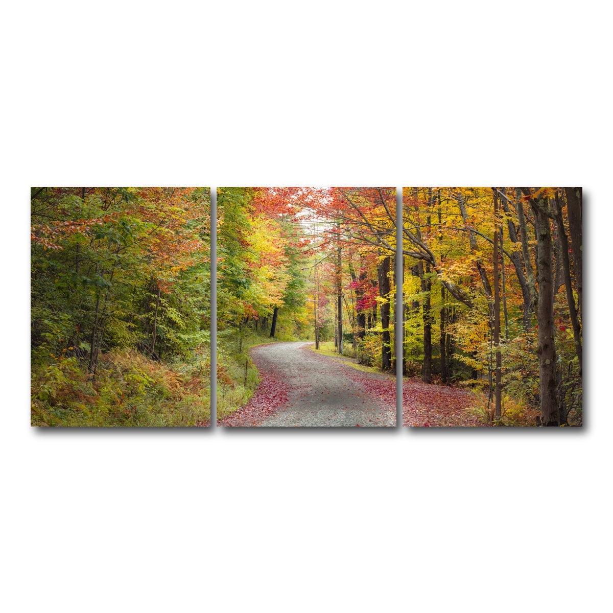 AUTO-MOCKUP WHITE | Blueberry Lane | 3 Piece | Gallery Wrap Canvas | group=18x24