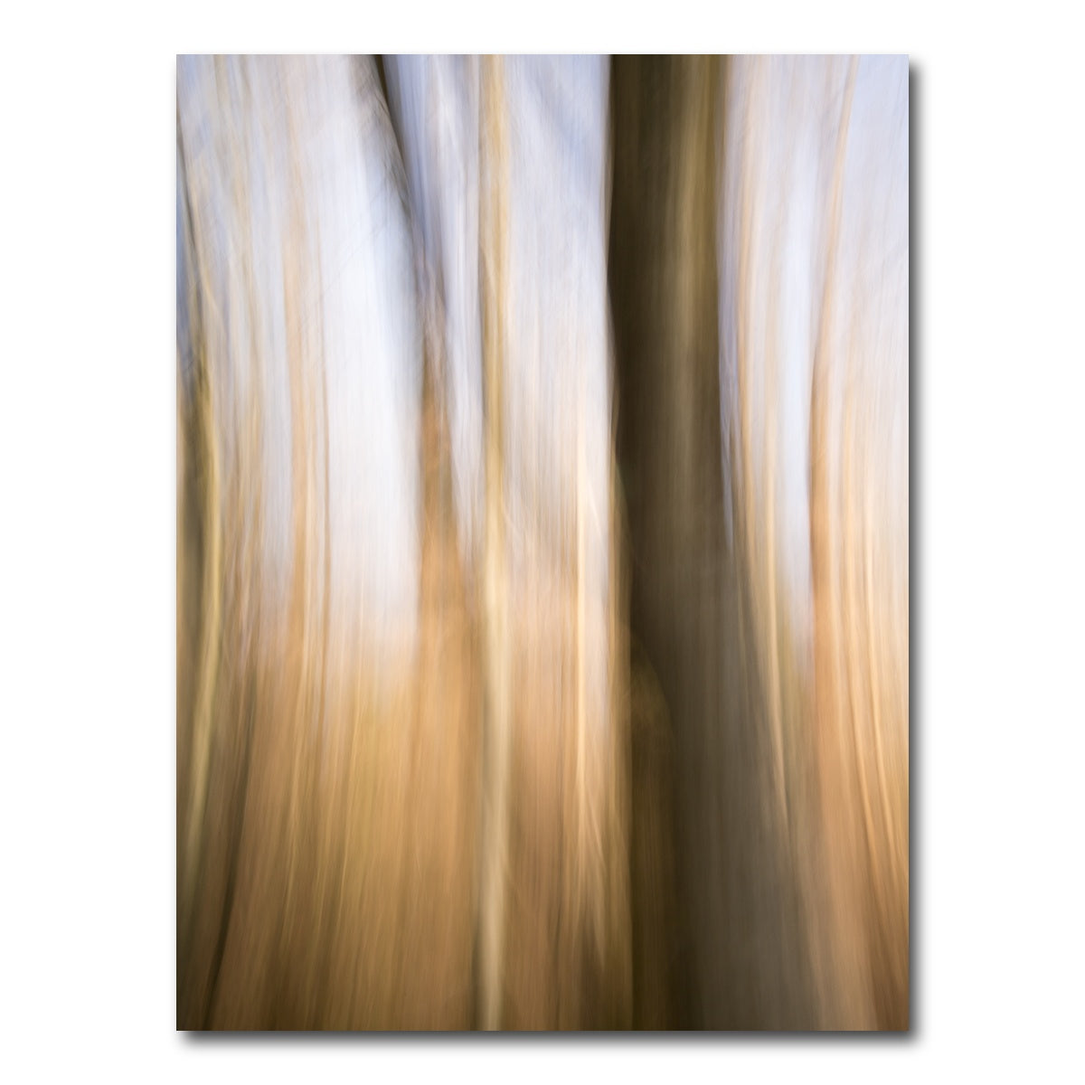 AUTO-MOCKUP WHITE | Blurred Heath | 1 Piece | Gallery Wrap Canvas | group=3x4