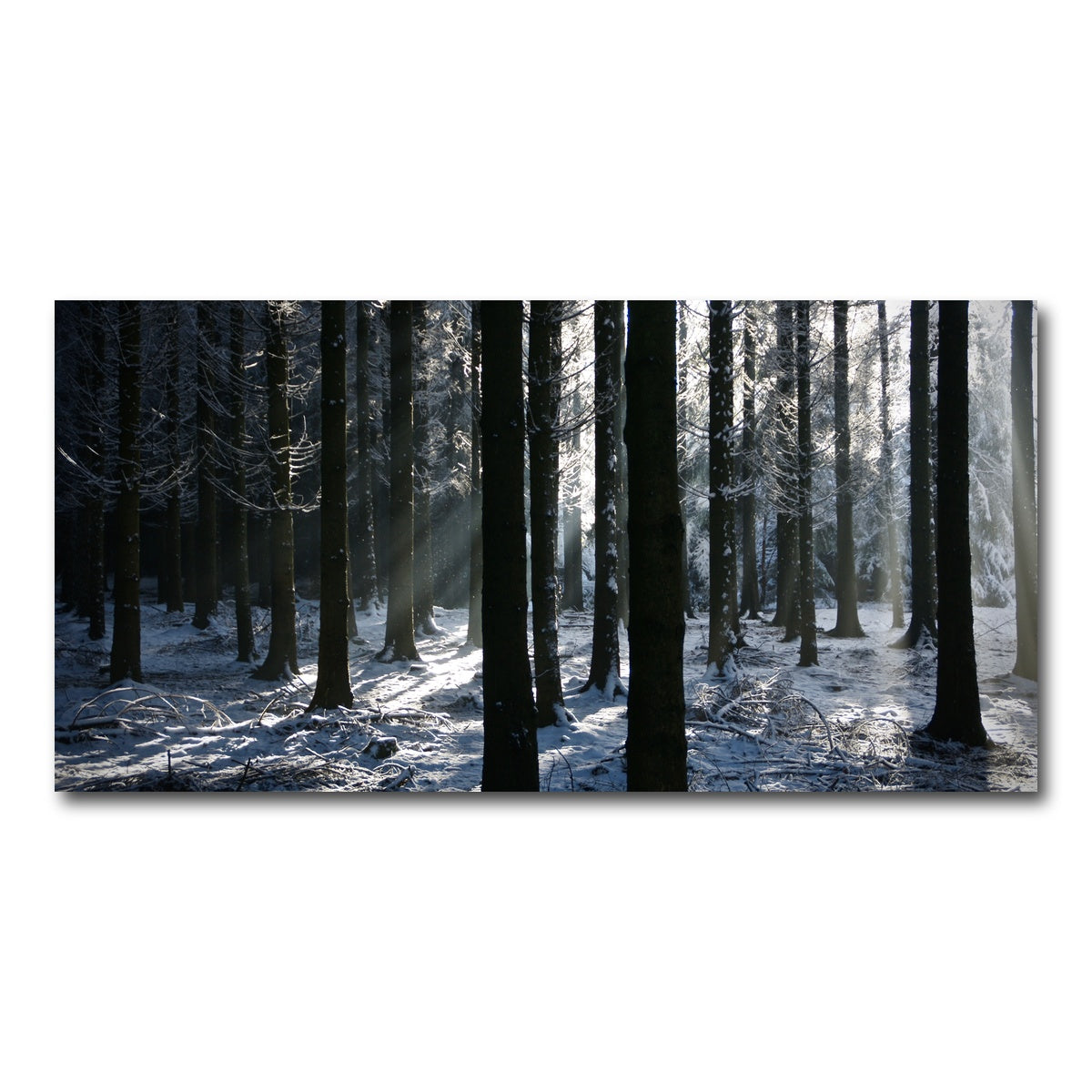 AUTO-MOCKUP WHITE | Bois Jacques Battle of the Bulge | 1 Piece | Gallery Wrap Canvas | group=2x1