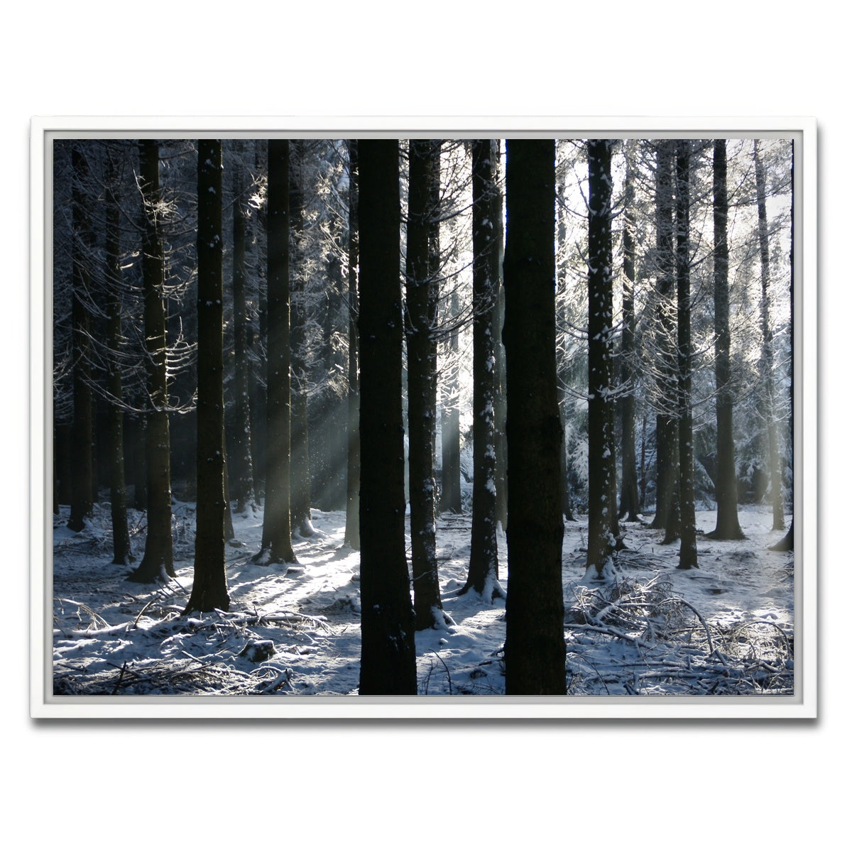 AUTO-MOCKUP WHITE | Bois Jacques Battle of the Bulge | 1 Piece | White Framed Canvas | group=4x3
