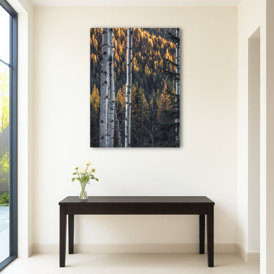 AUTO-MOCKUP ROOM | Bonanza Pass