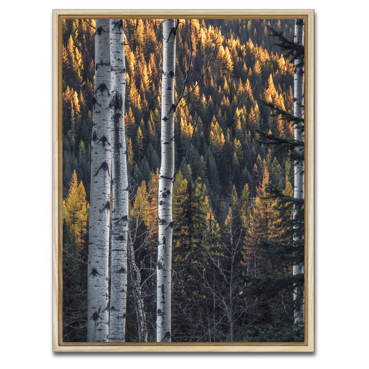 AUTO-MOCKUP WHITE | Bonanza Pass | 1 Piece | Natural Framed Canvas | group=3x4